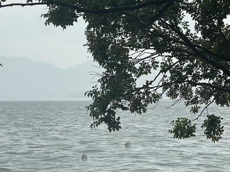 Featured image of post 暴雨西湖